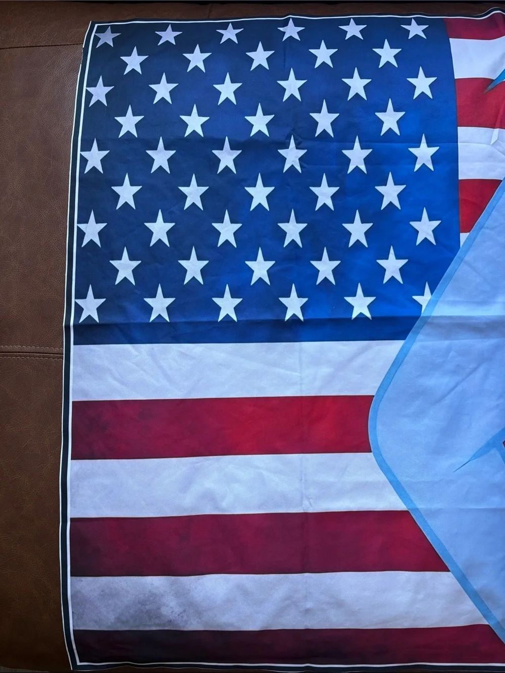 My Little Pony Rainbow Dash American Flag Wall Tapestry - Blue